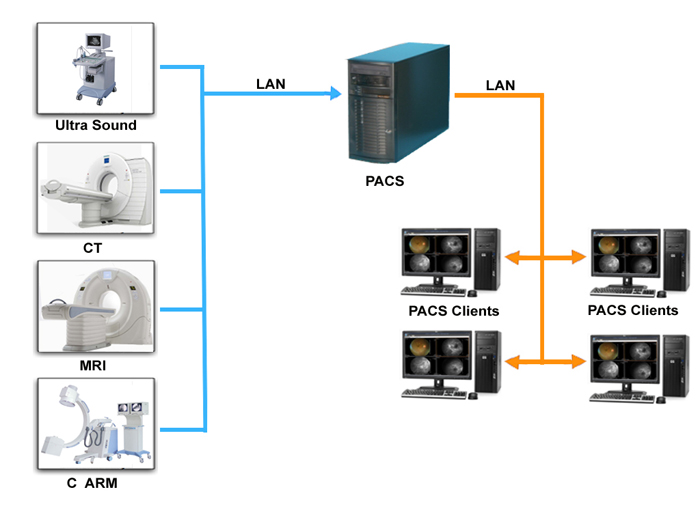 pacs radiology